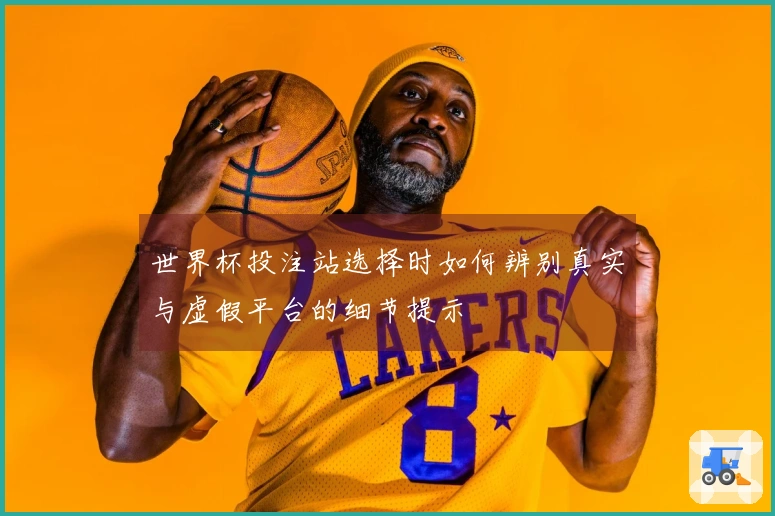 世界杯投注站选择时如何辨别真实与虚假平台的细节提示