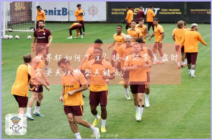 世界杯如何下注？投注记录复盘时需要关注哪些关键点？