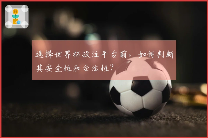 选择世界杯投注平台前，如何判断其安全性和合法性？