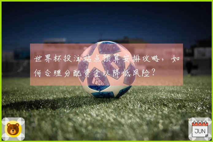 世界杯投注站点预算安排攻略，如何合理分配资金以降低风险？